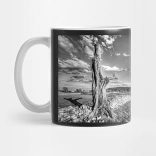 Yorkshire Dales, Dead Tree Mug